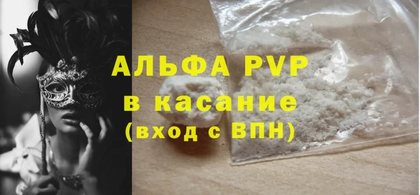 ГАЛЛЮЦИНОГЕННЫЕ ГРИБЫ Богданович