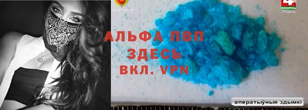 ГАЛЛЮЦИНОГЕННЫЕ ГРИБЫ Богданович