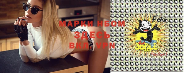 хмурый Бородино