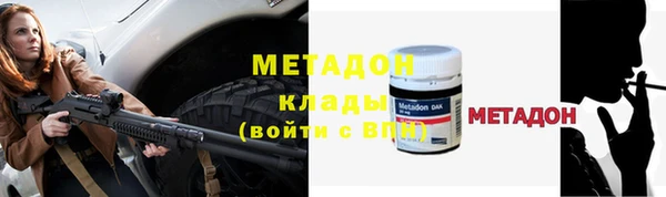 ГАЛЛЮЦИНОГЕННЫЕ ГРИБЫ Богданович