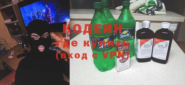 хмурый Бородино