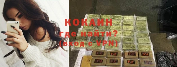 ГАЛЛЮЦИНОГЕННЫЕ ГРИБЫ Богданович