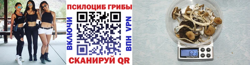 Галлюциногенные грибы ЛСД  Морозовск 